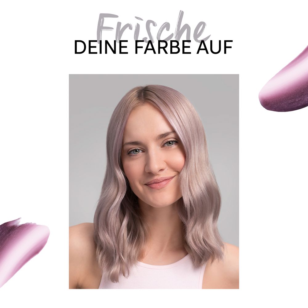 Lilac Frost