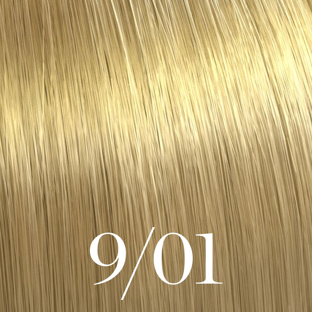 9/01 lichtblond natur-asch